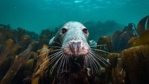 undefined Images